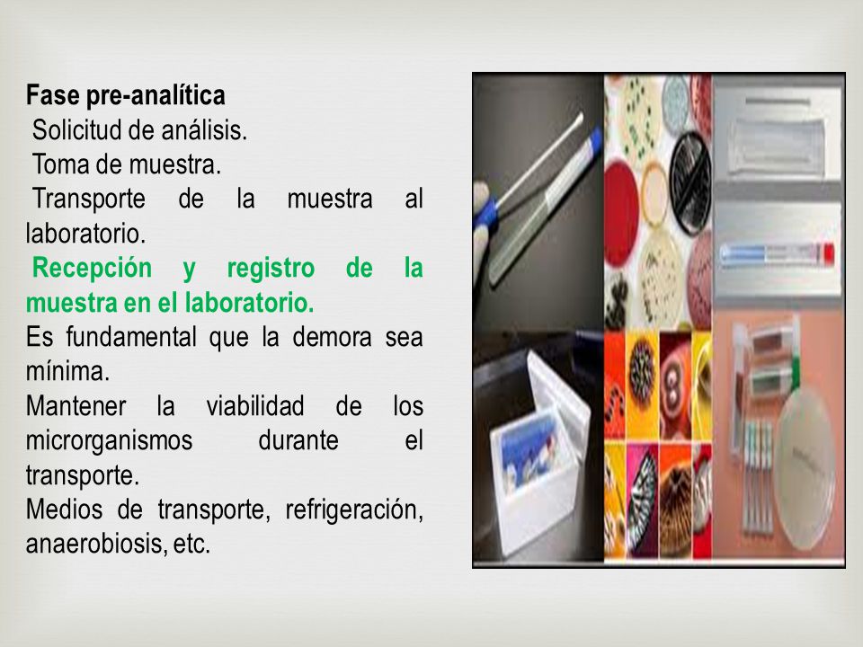 Fase pre-analítica Solicitud de análisis. Toma de muestra. Transporte de la muestra al laboratorio.