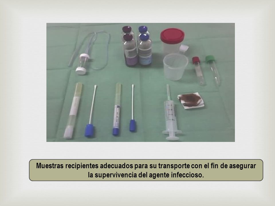Muestras recipientes adecuados para su transporte con el fin de asegurar la supervivencia del agente infeccioso.