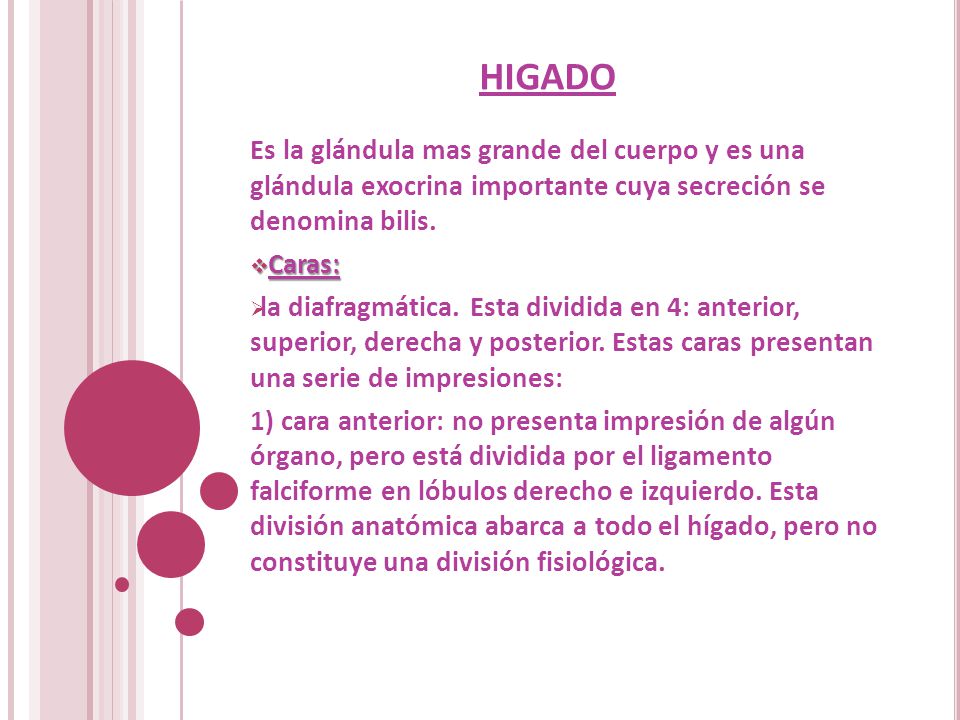 HIGADO Es la glándula mas grande del cuerpo y es una glándula exocrina importante cuya secreción se denomina bilis.