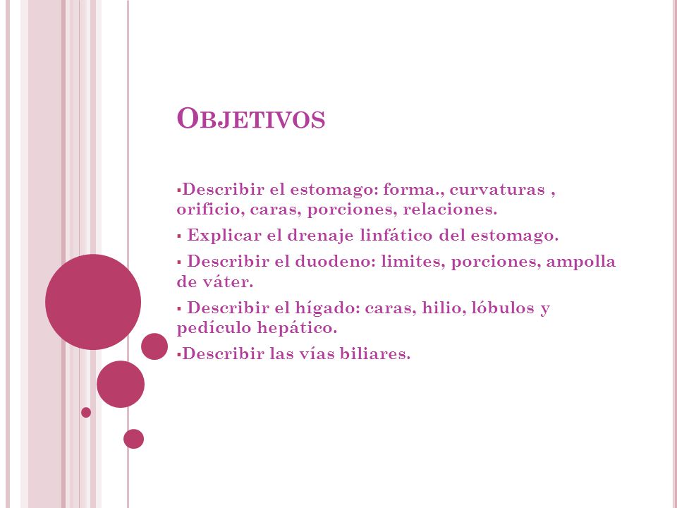 Objetivos Describir el estomago: forma., curvaturas , orificio, caras, porciones, relaciones. Explicar el drenaje linfático del estomago.