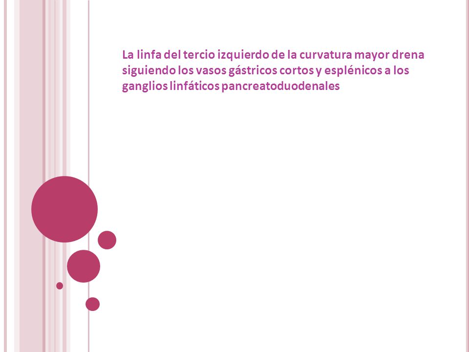 La linfa del tercio izquierdo de la curvatura mayor drena siguiendo los vasos gástricos cortos y esplénicos a los ganglios linfáticos pancreatoduodenales