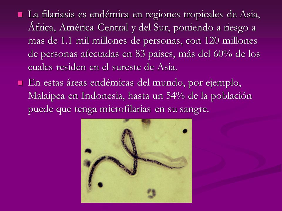 La filariasis es endémica en regiones tropicales de Asia, África, América Central y del Sur, poniendo a riesgo a mas de 1.1 mil millones de personas, con 120 millones de personas afectadas en 83 países, más del 60% de los cuales residen en el sureste de Asia.