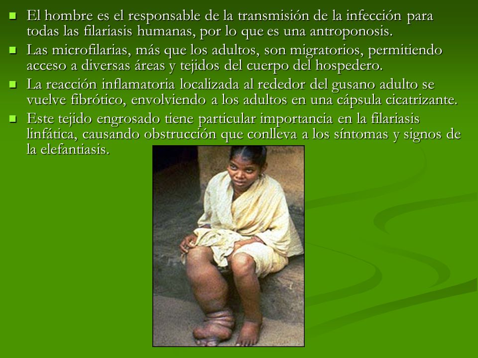 El hombre es el responsable de la transmisión de la infección para todas las filariasis humanas, por lo que es una antroponosis.