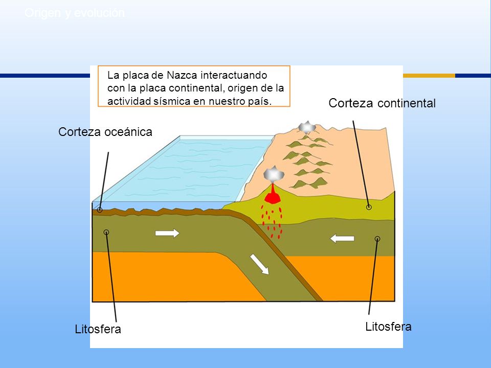 Corteza continental Origen y evolución Corteza oceánica Litosfera