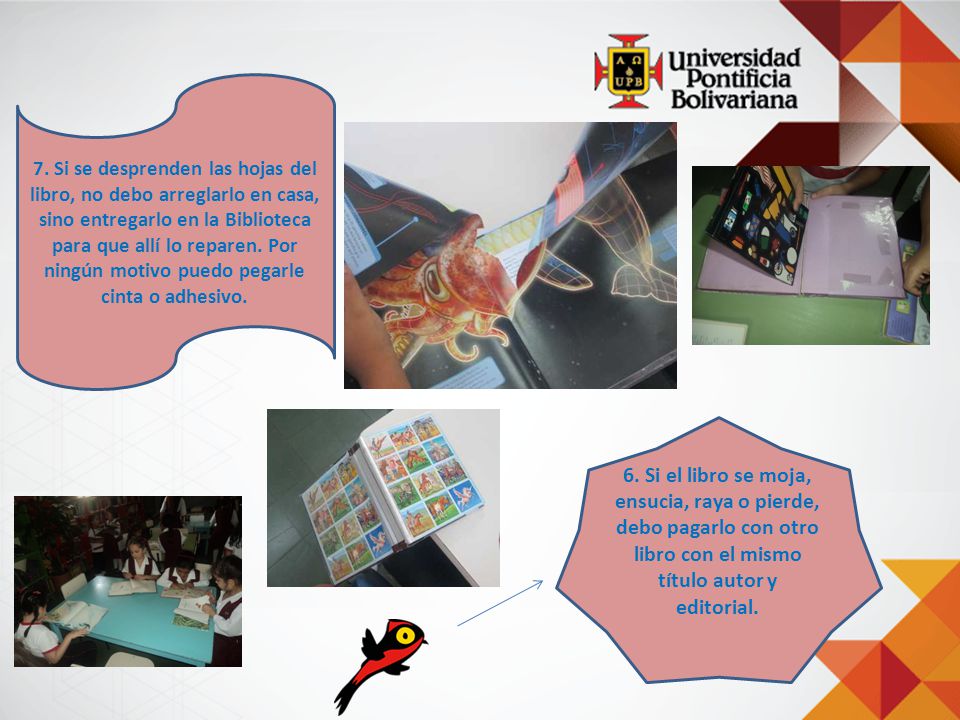7. Si se desprenden las hojas del libro, no debo arreglarlo en casa, sino entregarlo en la Biblioteca para que allí lo reparen. Por ningún motivo puedo pegarle cinta o adhesivo.
