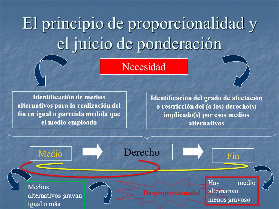 El principio de proporcionalidad y el juicio de ponderación