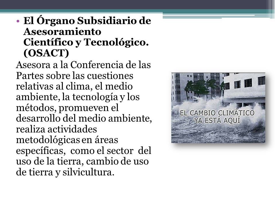 El Órgano Subsidiario de Asesoramiento Científico y Tecnológico