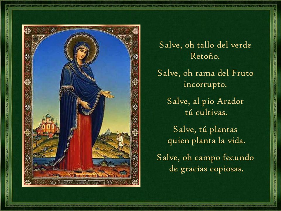 Salve, oh tallo del verde Retoño. Salve, oh rama del Fruto incorrupto.