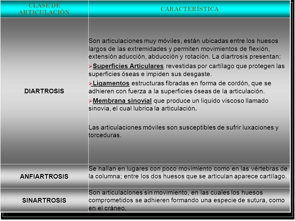ARTICULACIONES DIARTROSIS