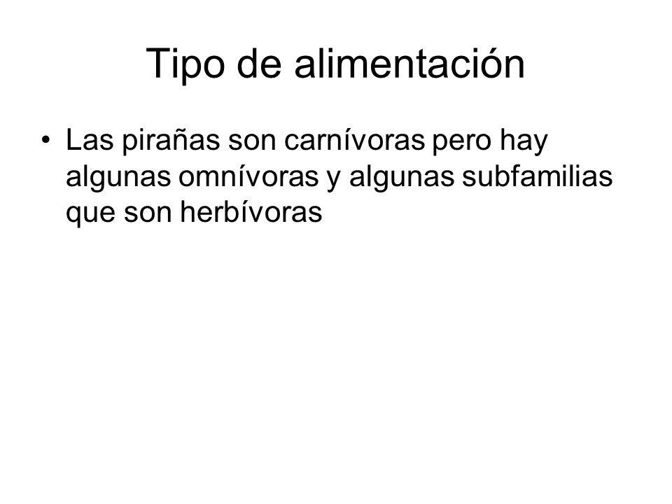 Tipo de alimentación Las pirañas son carnívoras pero hay algunas omnívoras y algunas subfamilias que son herbívoras.