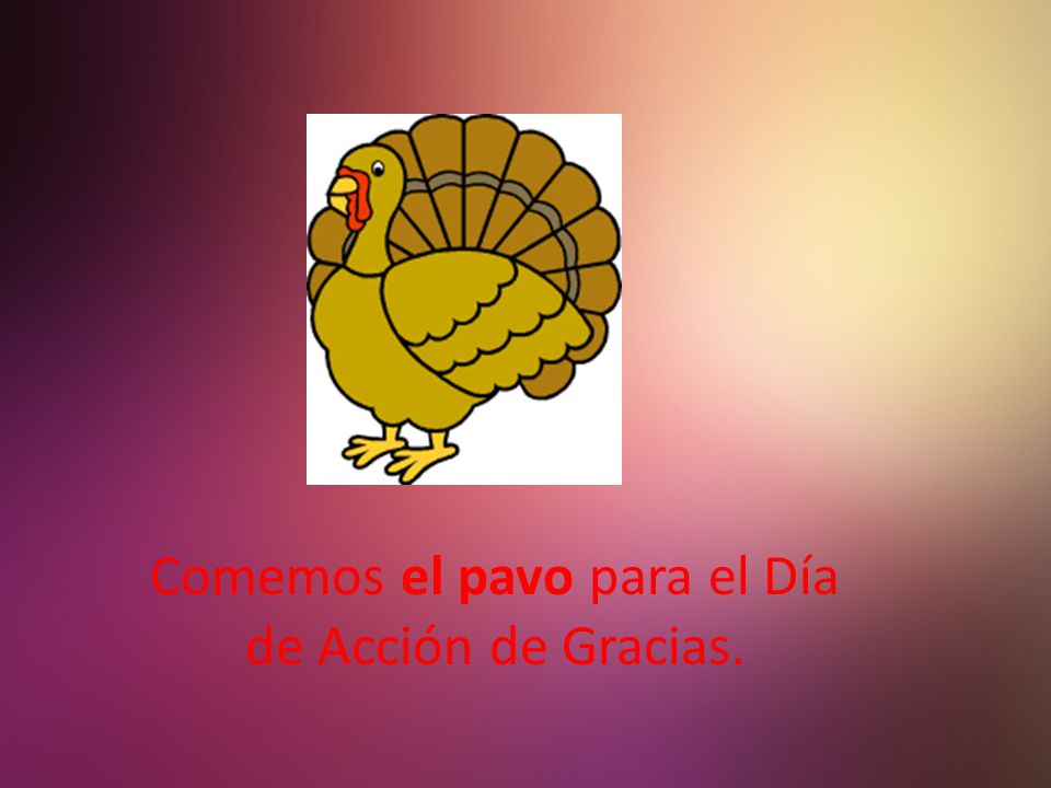 Comemos el pavo para el Día de Acción de Gracias.