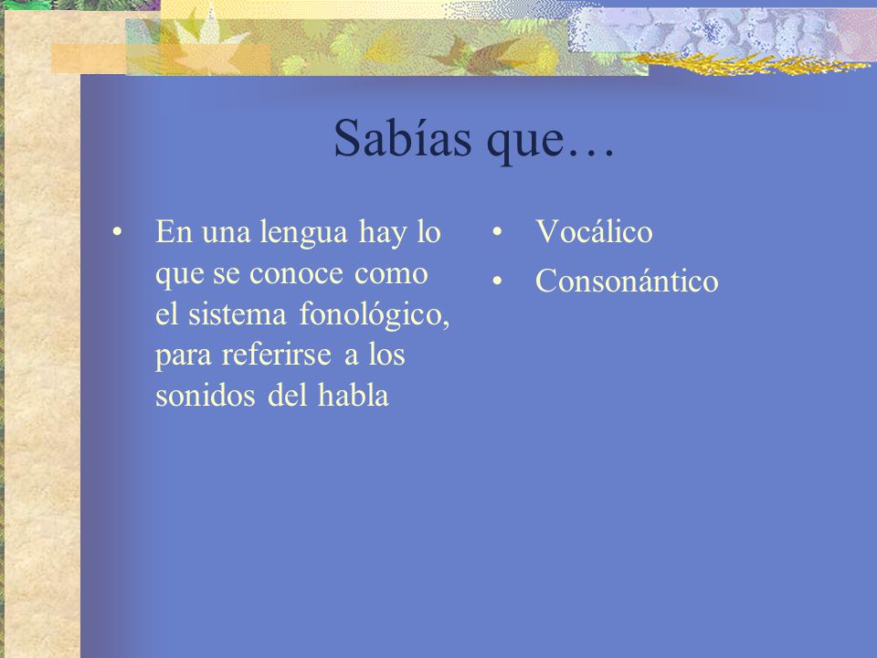 Sabías que… En una lengua hay lo que se conoce como el sistema fonológico, para referirse a los sonidos del habla.