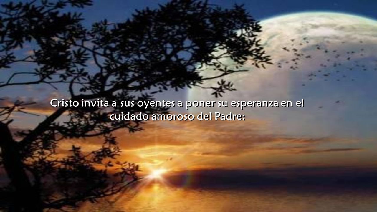 Cristo invita a sus oyentes a poner su esperanza en el cuidado amoroso del Padre:
