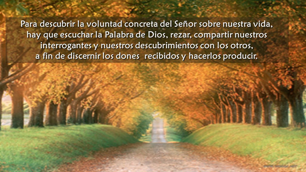 Para descubrir la voluntad concreta del Señor sobre nuestra vida,