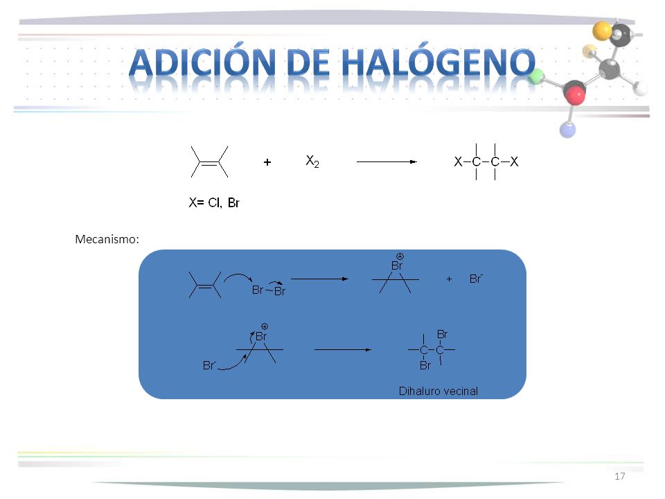 Adición de halógeno Mecanismo: