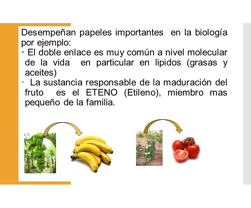 Desempeñan papeles importantes en la biología por ejemplo: