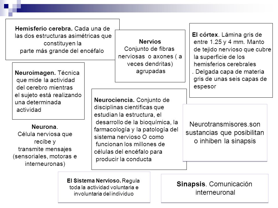 sustancias que posibilitan o inhiben la sinapsis