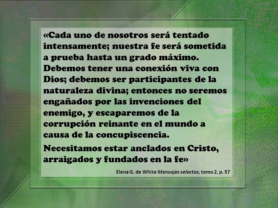 Necesitamos estar anclados en Cristo, arraigados y fundados en la fe»