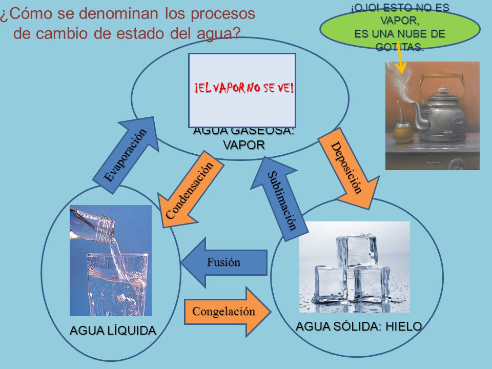 ¿Cómo se denominan los procesos de cambio de estado del agua