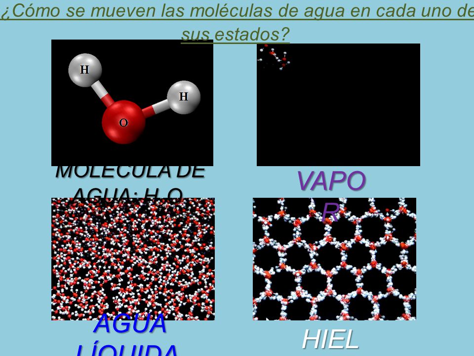 ¿Cómo se mueven las moléculas de agua en cada uno de sus estados
