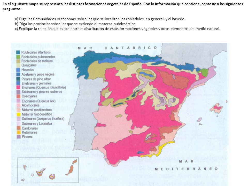 En el siguiente mapa se representa las distintas formaciones vegetales de España. Con la información que contiene, conteste a las siguientes preguntas:
