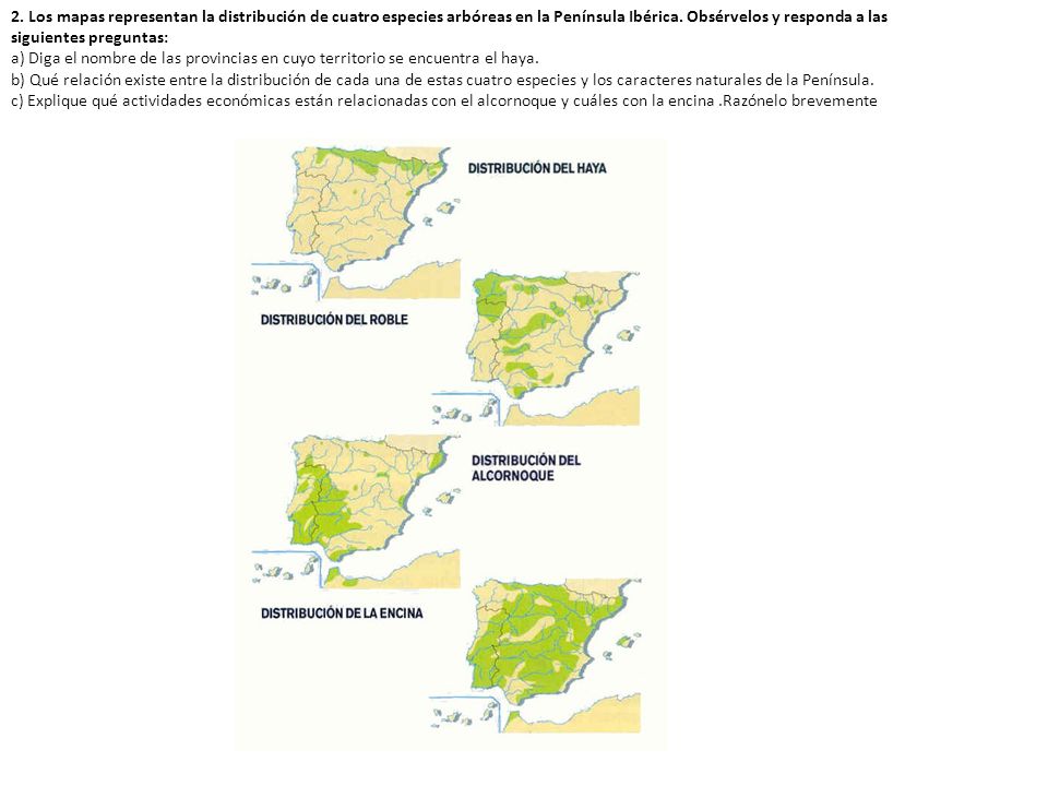 2. Los mapas representan la distribución de cuatro especies arbóreas en la Península Ibérica. Obsérvelos y responda a las