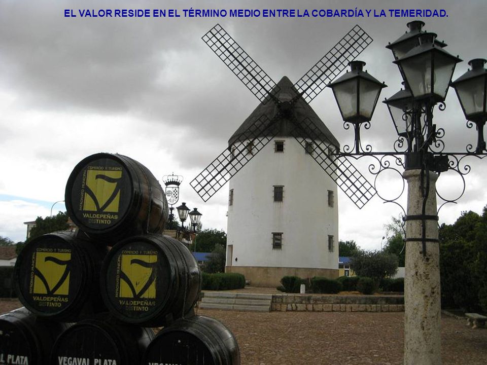 EL VALOR RESIDE EN EL TÉRMINO MEDIO ENTRE LA COBARDÍA Y LA TEMERIDAD.