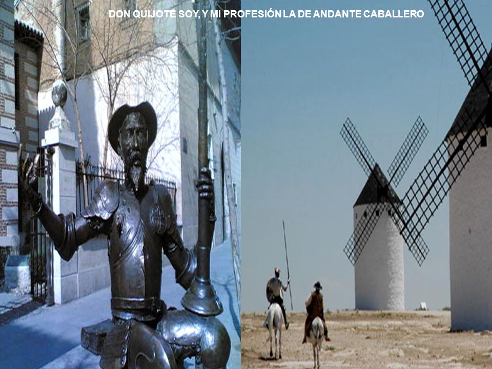 DON QUIJOTE SOY, Y MI PROFESIÓN LA DE ANDANTE CABALLERO