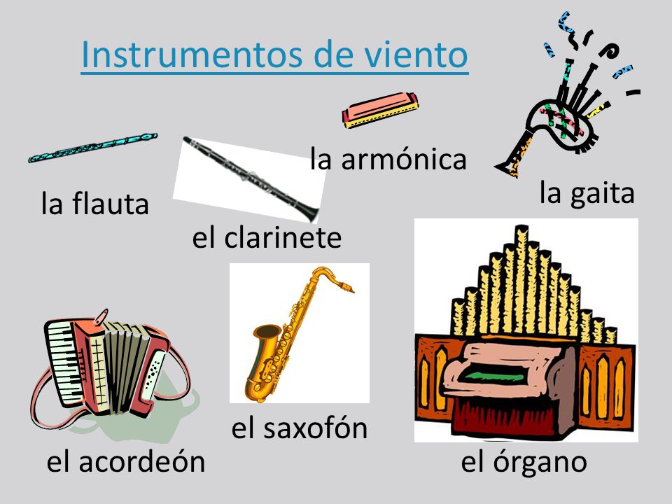 Los instrumentos - de metal - de viento - de percusión - de cuerda. - ppt  descargar