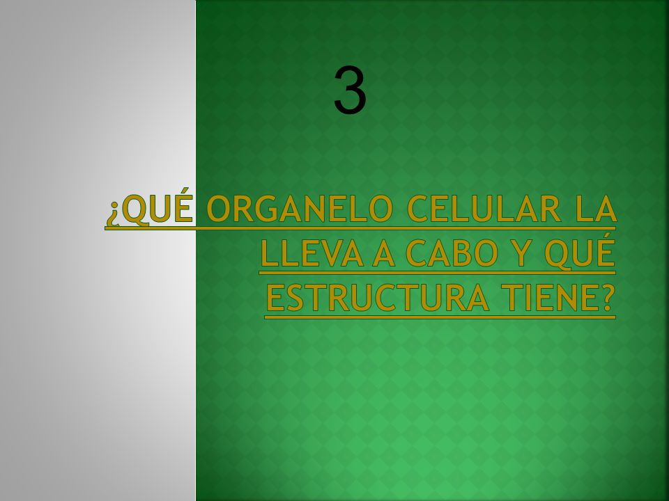 ¿QUÉ ORGANELO CELULAR LA LLEVA A CABO Y QUÉ ESTRUCTURA TIENE