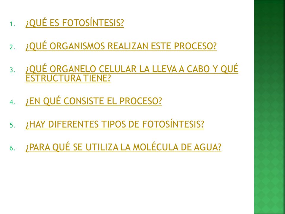 ¿QUÉ ES FOTOSÍNTESIS ¿QUÉ ORGANISMOS REALIZAN ESTE PROCESO ¿QUÉ ORGANELO CELULAR LA LLEVA A CABO Y QUÉ ESTRUCTURA TIENE