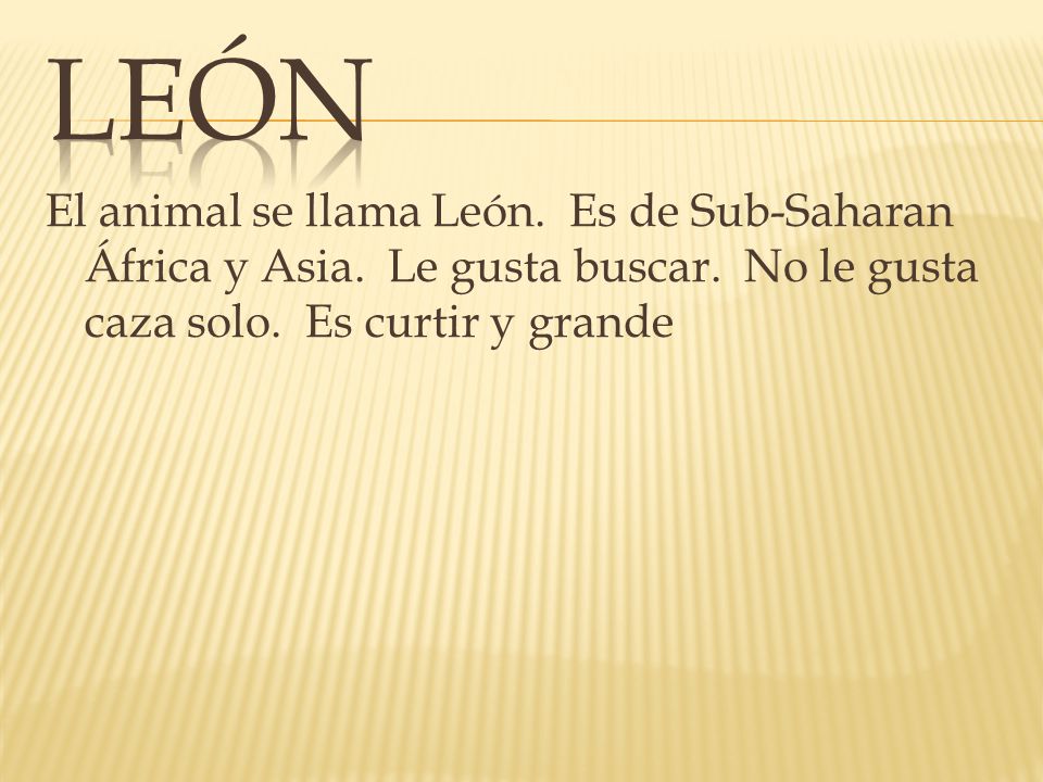 León El animal se llama León. Es de Sub-Saharan África y Asia.