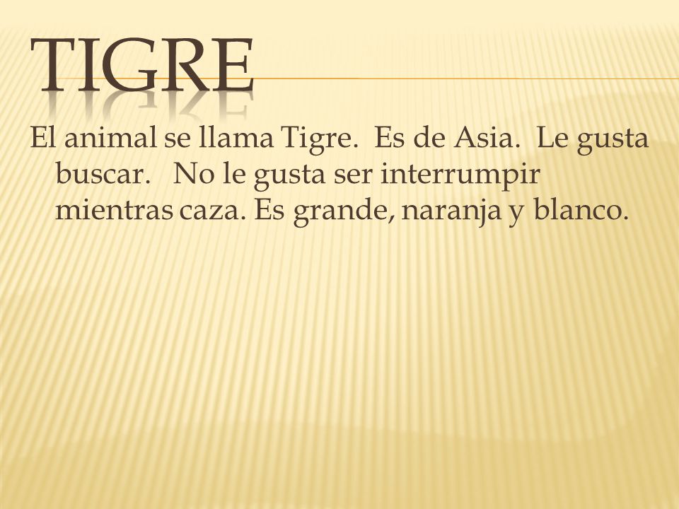 Tigre El animal se llama Tigre. Es de Asia. Le gusta buscar.