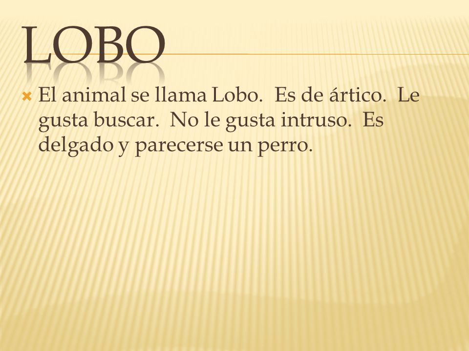 Lobo El animal se llama Lobo. Es de ártico. Le gusta buscar.