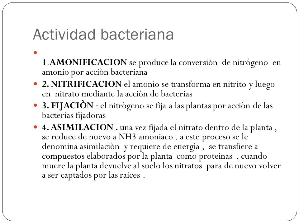 Actividad bacteriana 1.AMONIFICACION se produce la conversiòn de nitrógeno en amonio por acciòn bacteriana