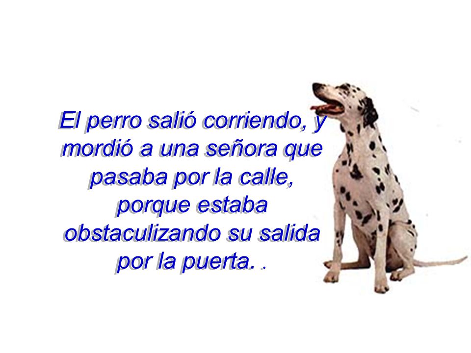 El perro salió corriendo, y mordió a una señora que pasaba por la calle, porque estaba obstaculizando su salida por la puerta.