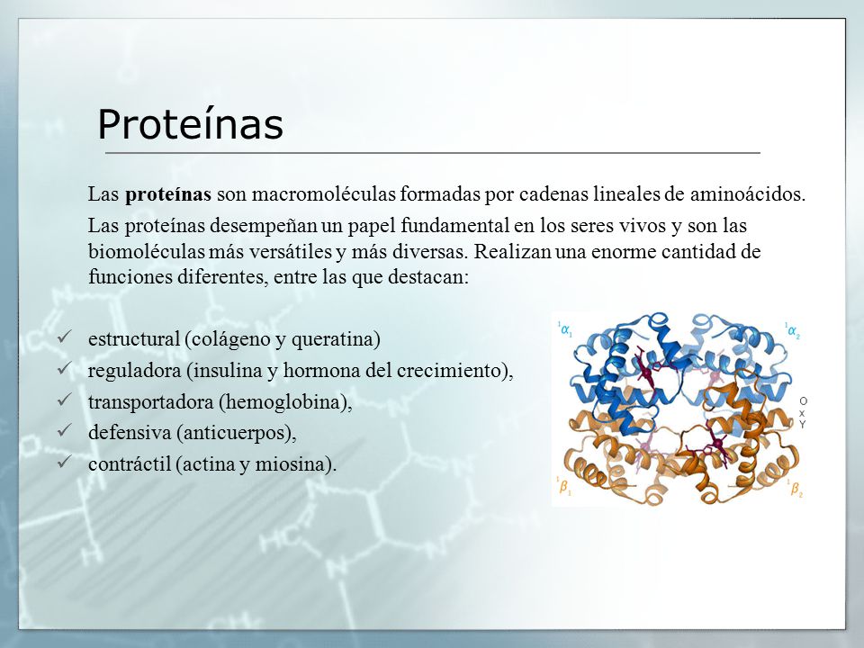 Proteínas Las proteínas son macromoléculas formadas por cadenas lineales de aminoácidos.