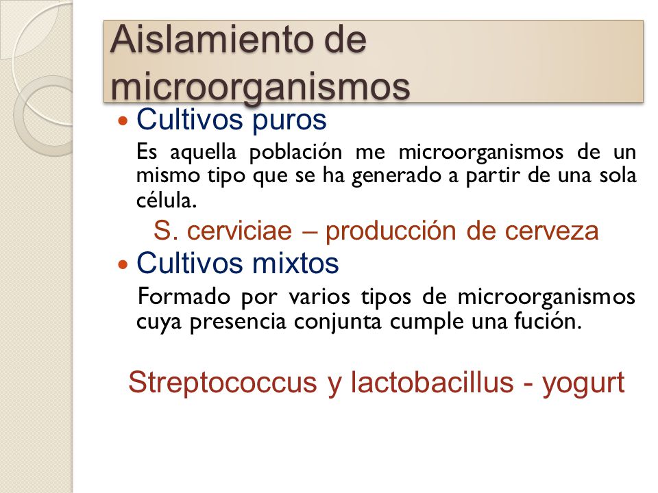 Manejo de cultivos en microbiologia industrial - ppt descargar