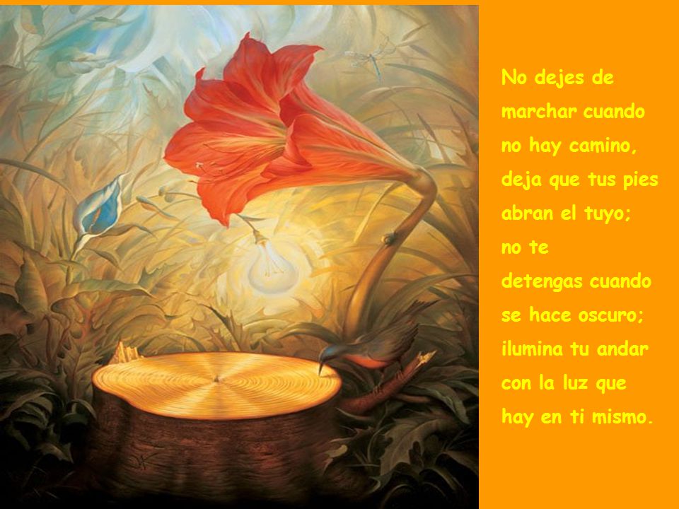 No dejes de marchar cuando. no hay camino, deja que tus pies. abran el tuyo; no te. detengas cuando.