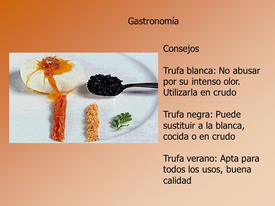 Gastronomía Consejos. Trufa blanca: No abusar. por su intenso olor. Utilizarla en crudo. Trufa negra: Puede.