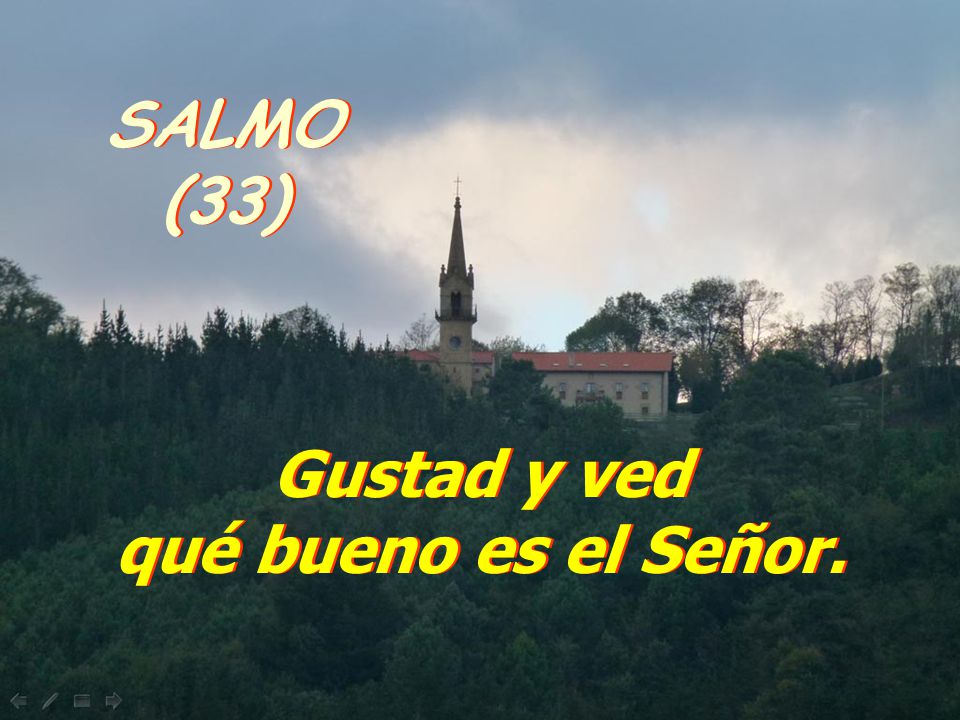 SALMO (33) Gustad y ved qué bueno es el Señor.