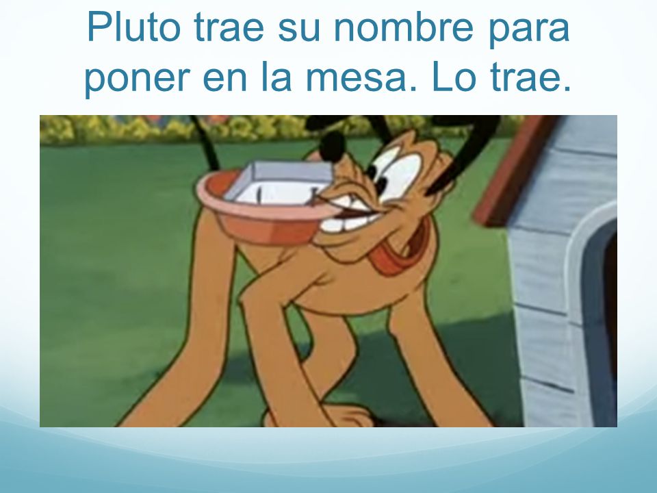 Pluto trae su nombre para poner en la mesa. Lo trae.
