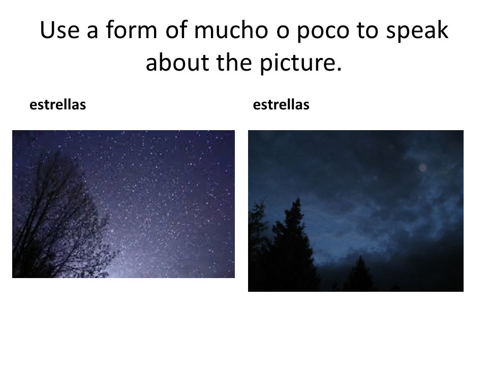 Use a form of mucho o poco to speak about the picture.