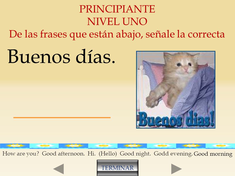 De las frases que están abajo, señale la correcta