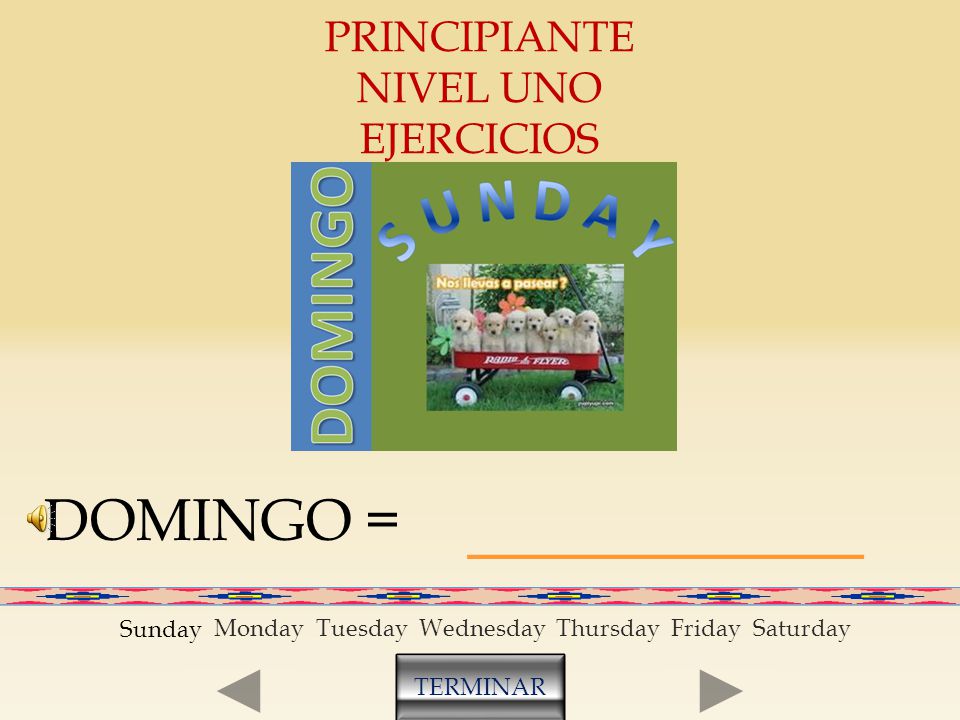 _________ SUNDAY DOMINGO = PRINCIPIANTE NIVEL UNO EJERCICIOS Sunday