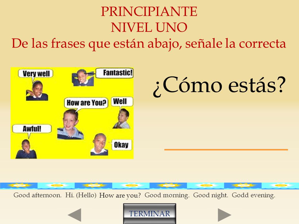 De las frases que están abajo, señale la correcta