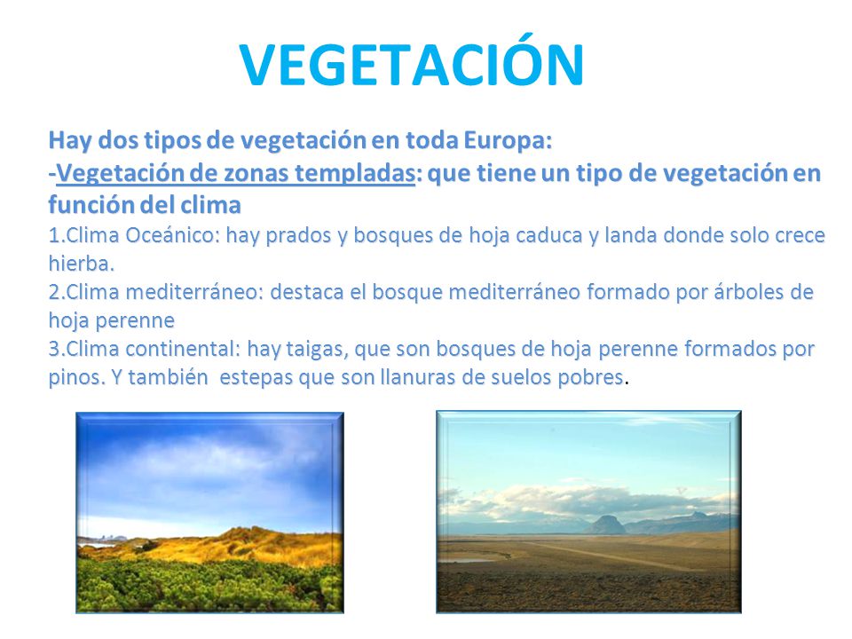 VEGETACIÓN Hay dos tipos de vegetación en toda Europa: