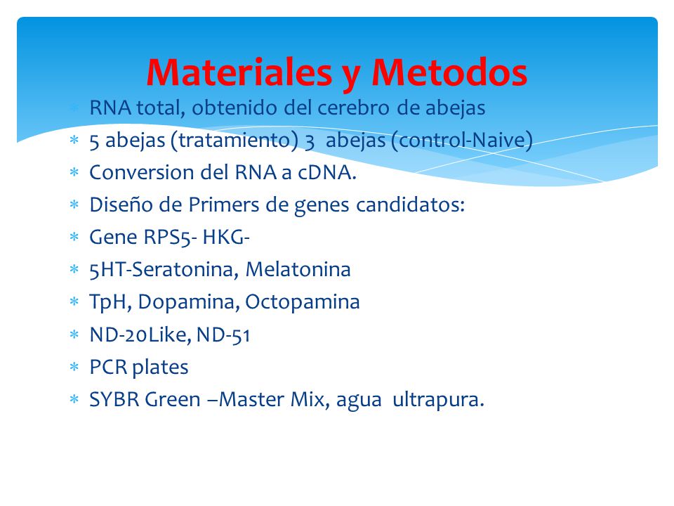 Materiales y Metodos RNA total, obtenido del cerebro de abejas