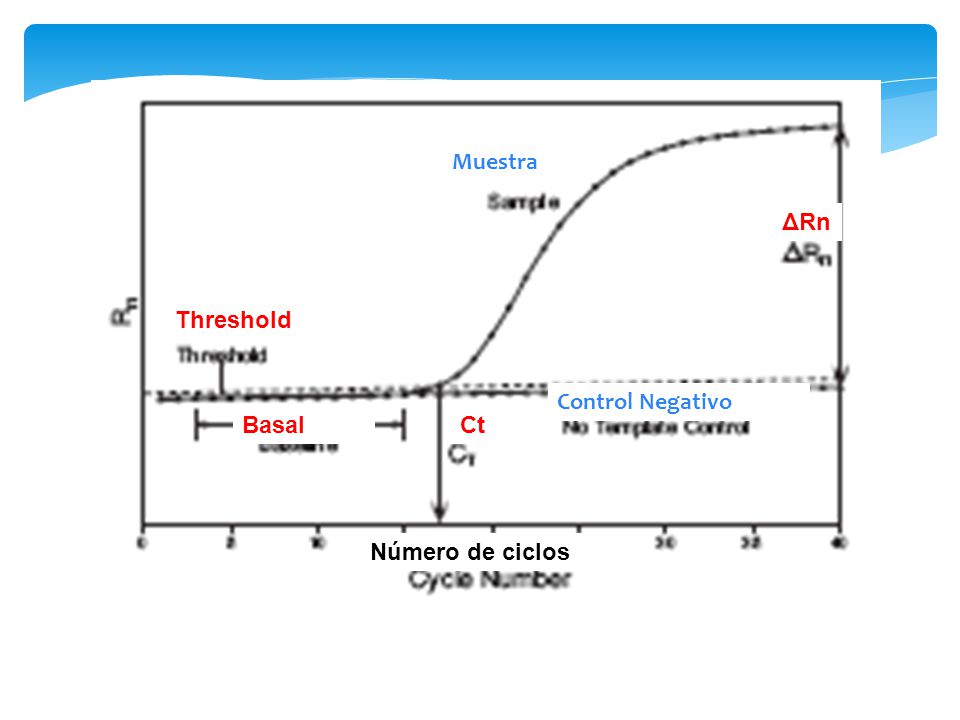 Muestra ΔRn Threshold Control Negativo Basal Ct Número de ciclos