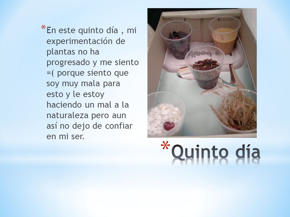 En este quinto día , mi experimentación de plantas no ha progresado y me siento =( porque siento que soy muy mala para esto y le estoy haciendo un mal a la naturaleza pero aun así no dejo de confiar en mi ser.